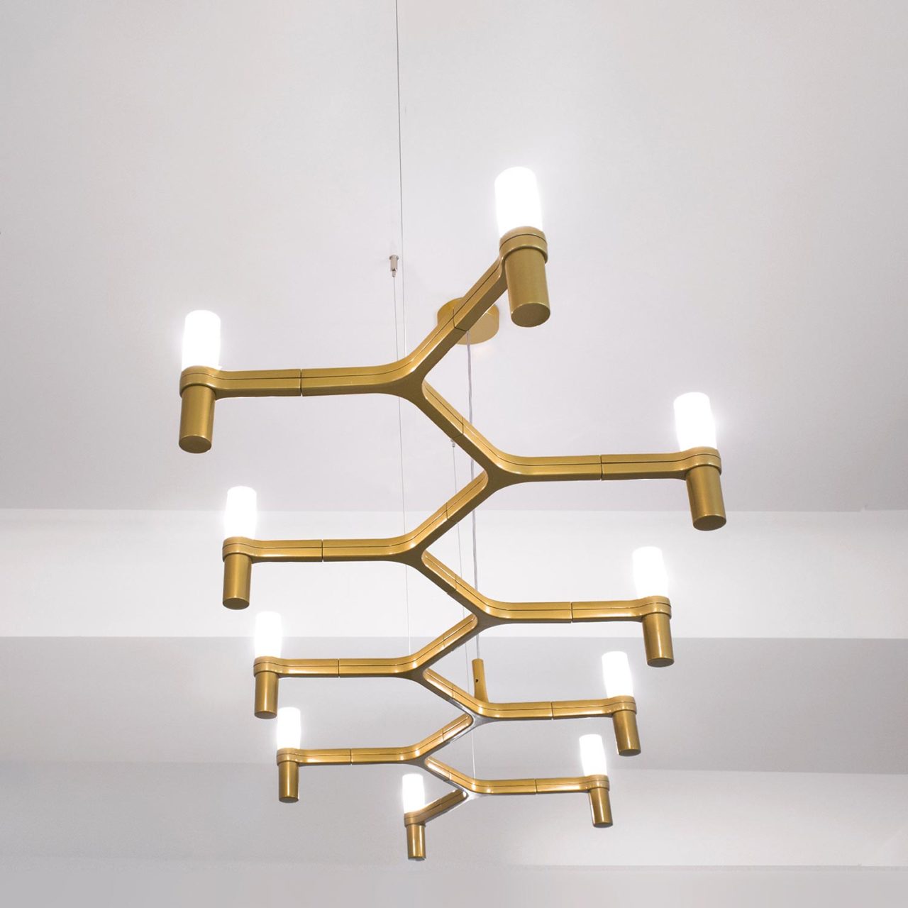 Crown Plana Linea Pendant Lamp by Nemo Lamps